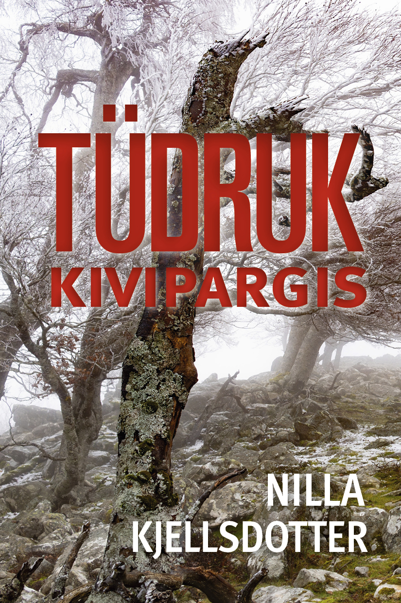 Tüdruk Kivipargis