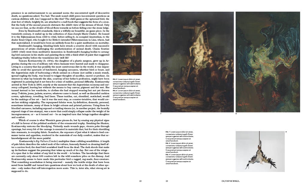 Birds: The Goldfinch, Birds, Art, and Us