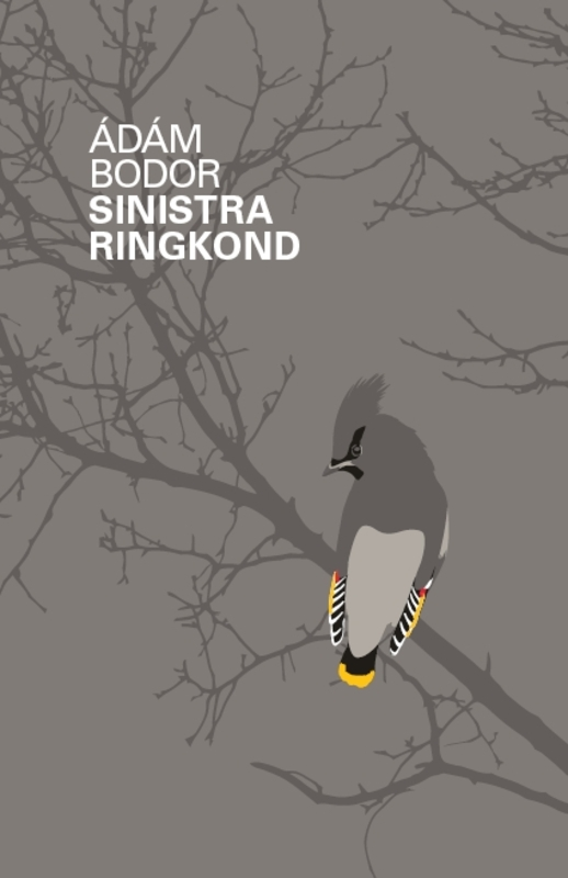 E-raamat: Sinistra ringkond