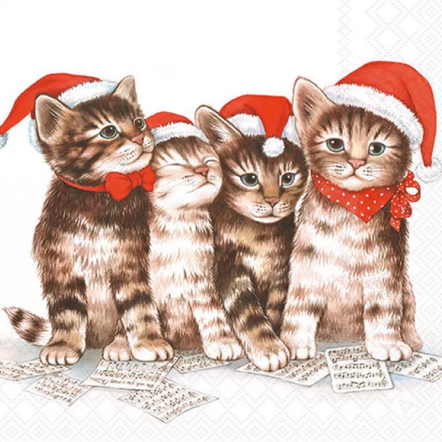 Lauasalvrätikud Singing Cats, 20 tk