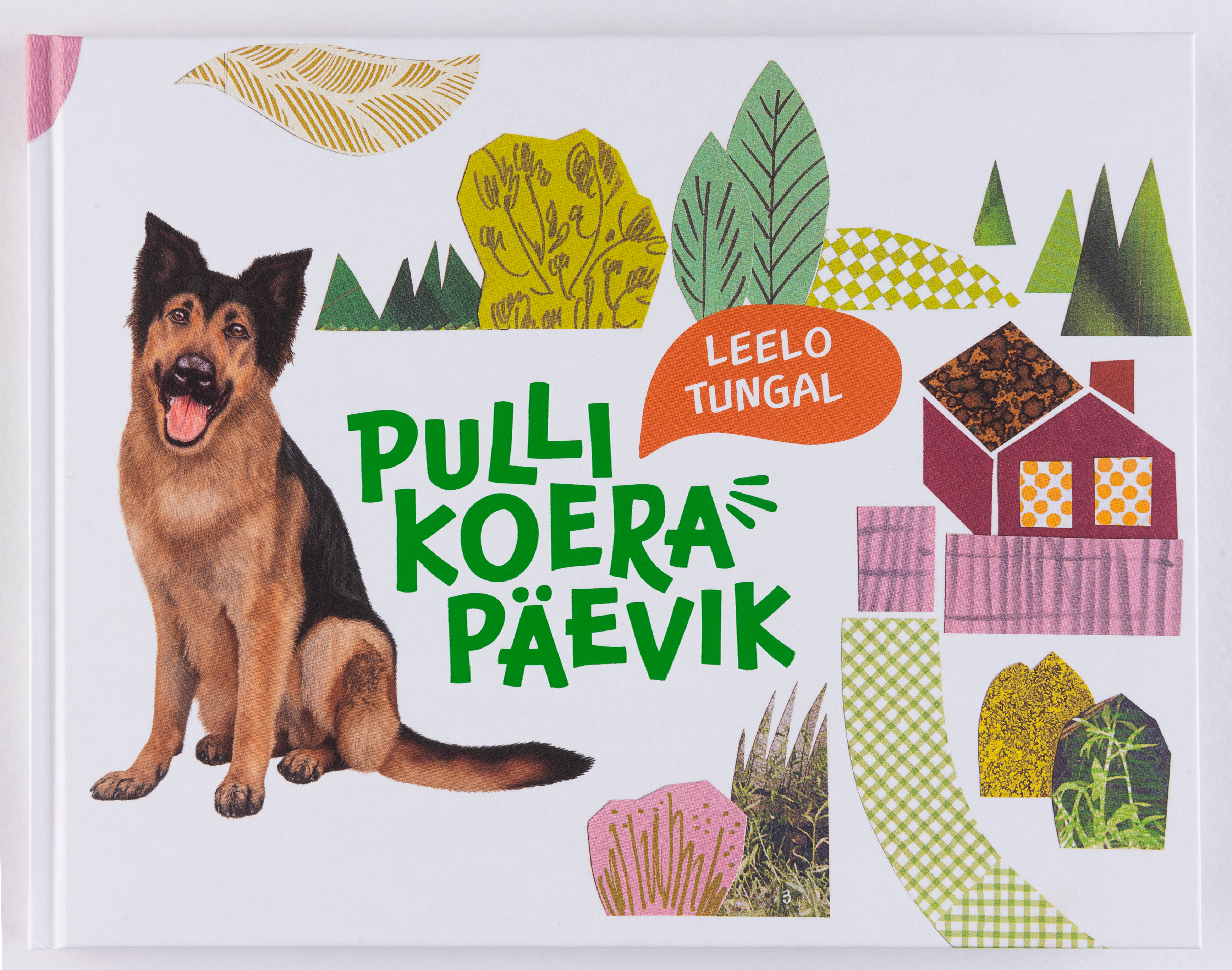 Pulli koera päevik