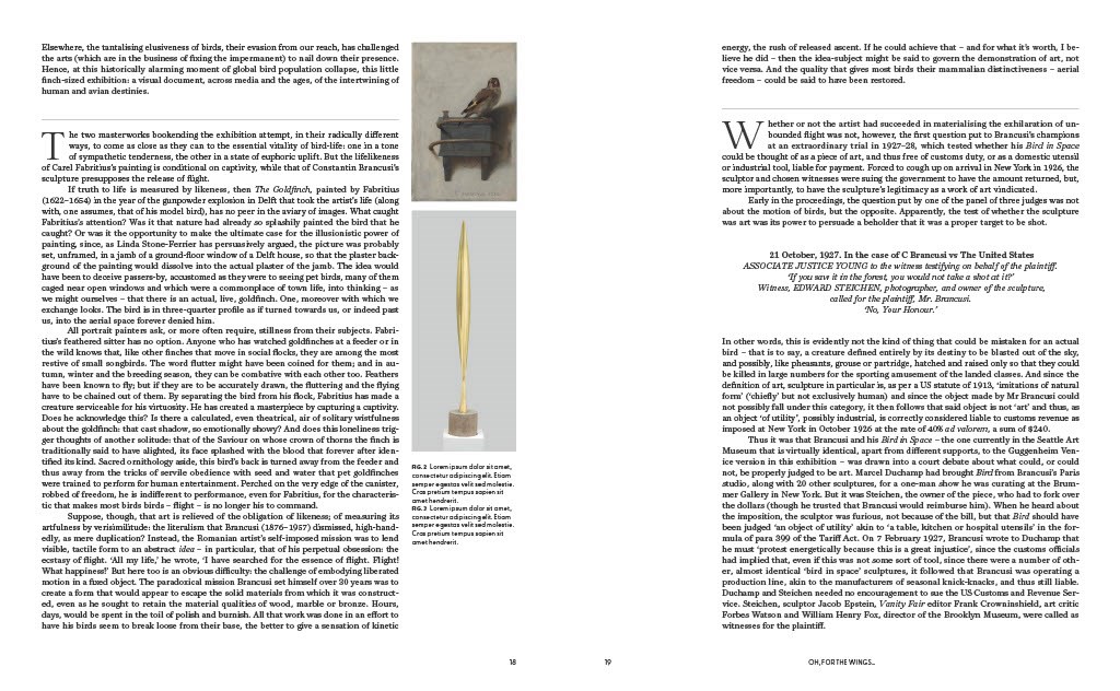Birds: The Goldfinch, Birds, Art, and Us