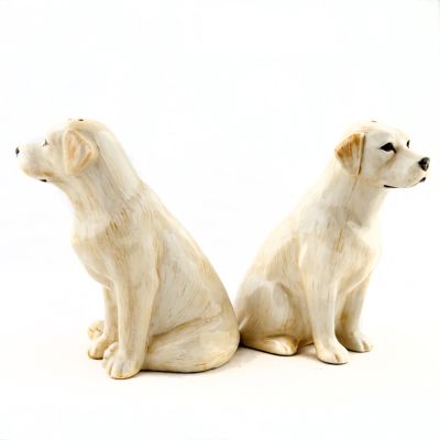 QUAIL PIPRA- JA SOOLATOOS GOLDEN LABRADOR