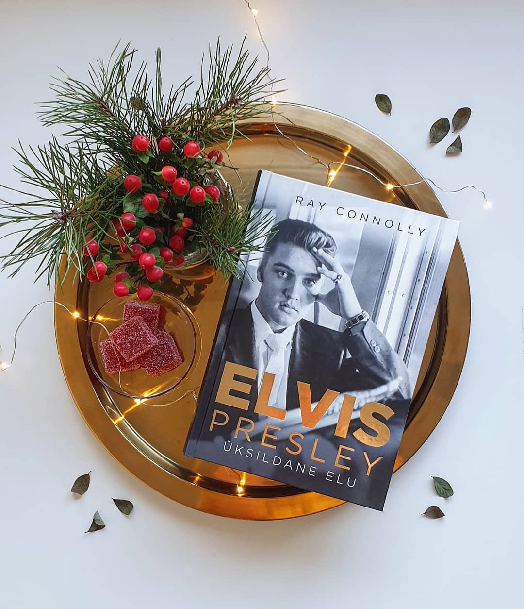 Elvis Presley. Üksildane elu