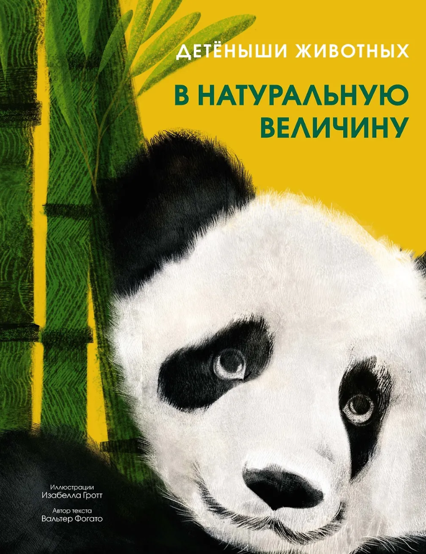 Детйоныши животных в натуральную величину