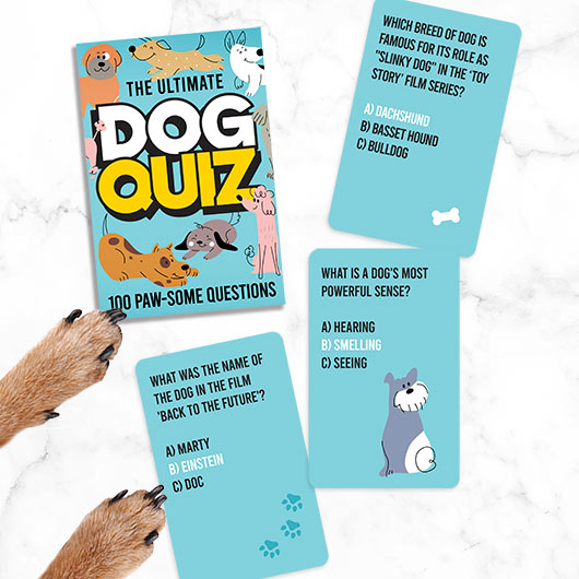 Kaardikomplekt Pet - Dog Quiz