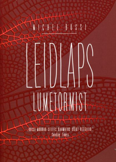 Leidlaps lumetormist - Michael Bussi
