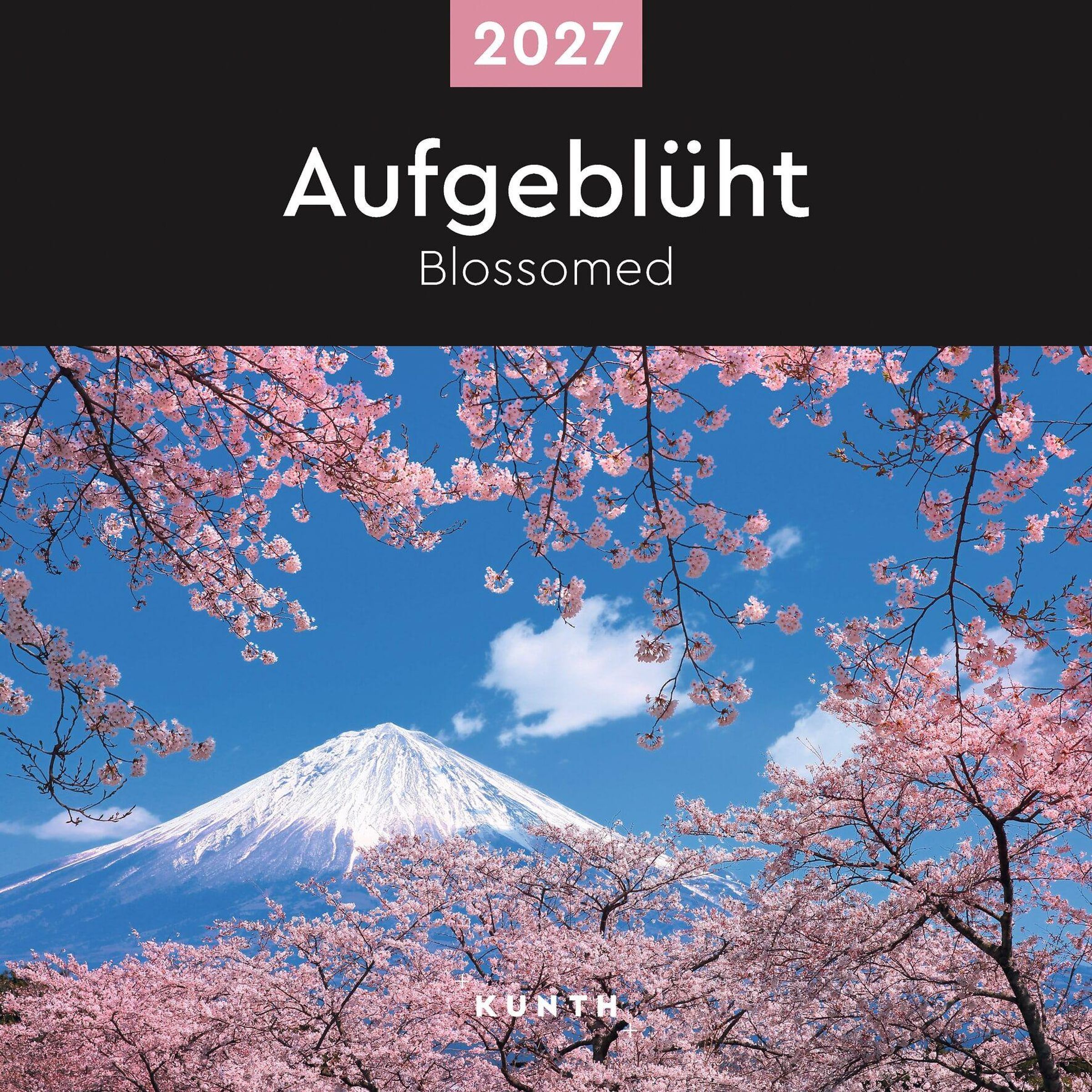 2027 seinakalender Aufgeblüht, 30x30cm