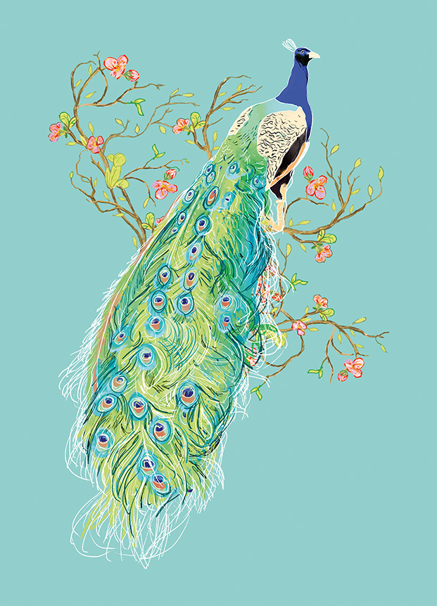 Postkaart M-Illu, Peacock