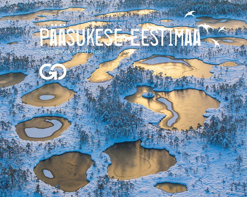 Pääsukese Eestimaa 4