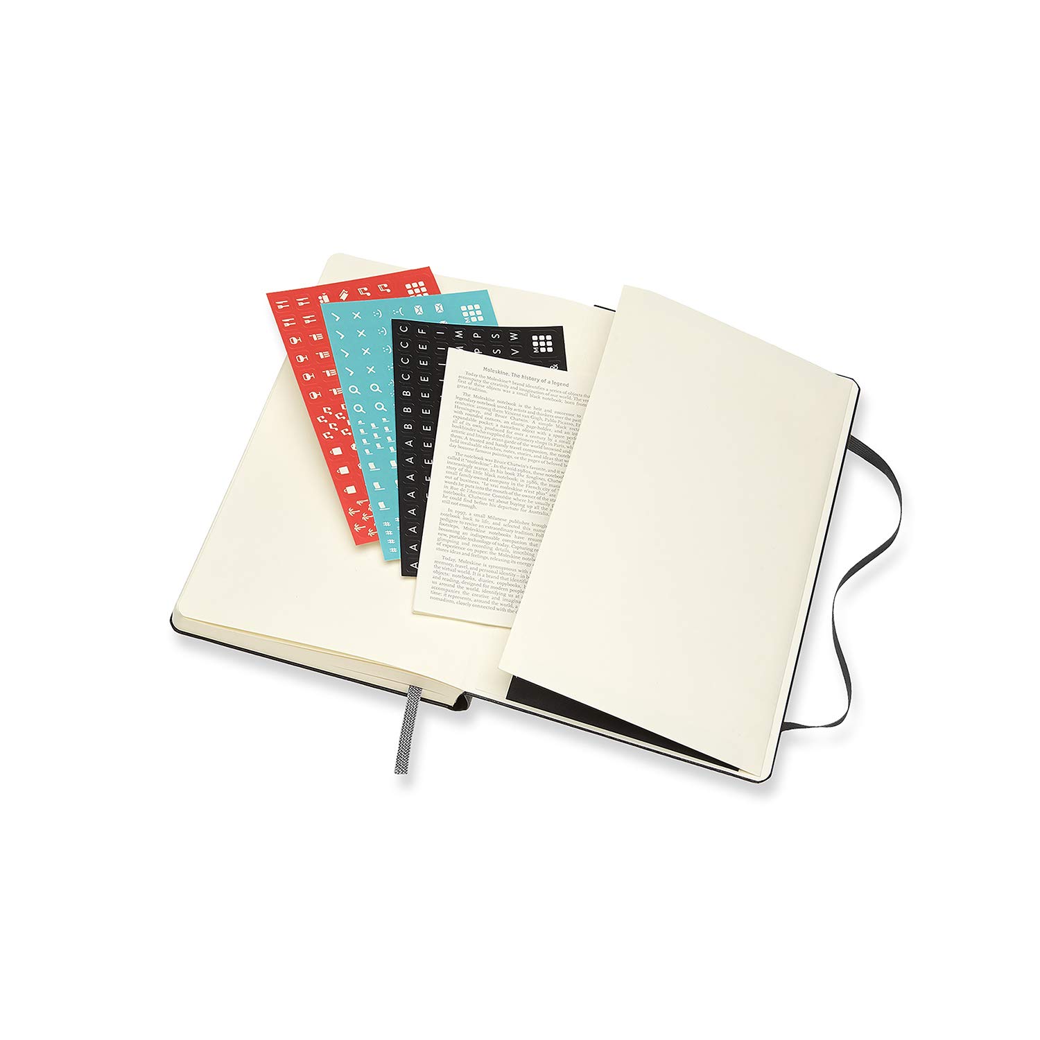 2021 Moleskine 12M Daily Diary Large, Black