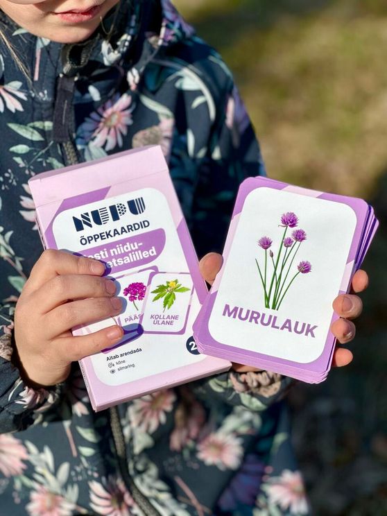Õppekaardid Eesti niidu- ja metsalilled
