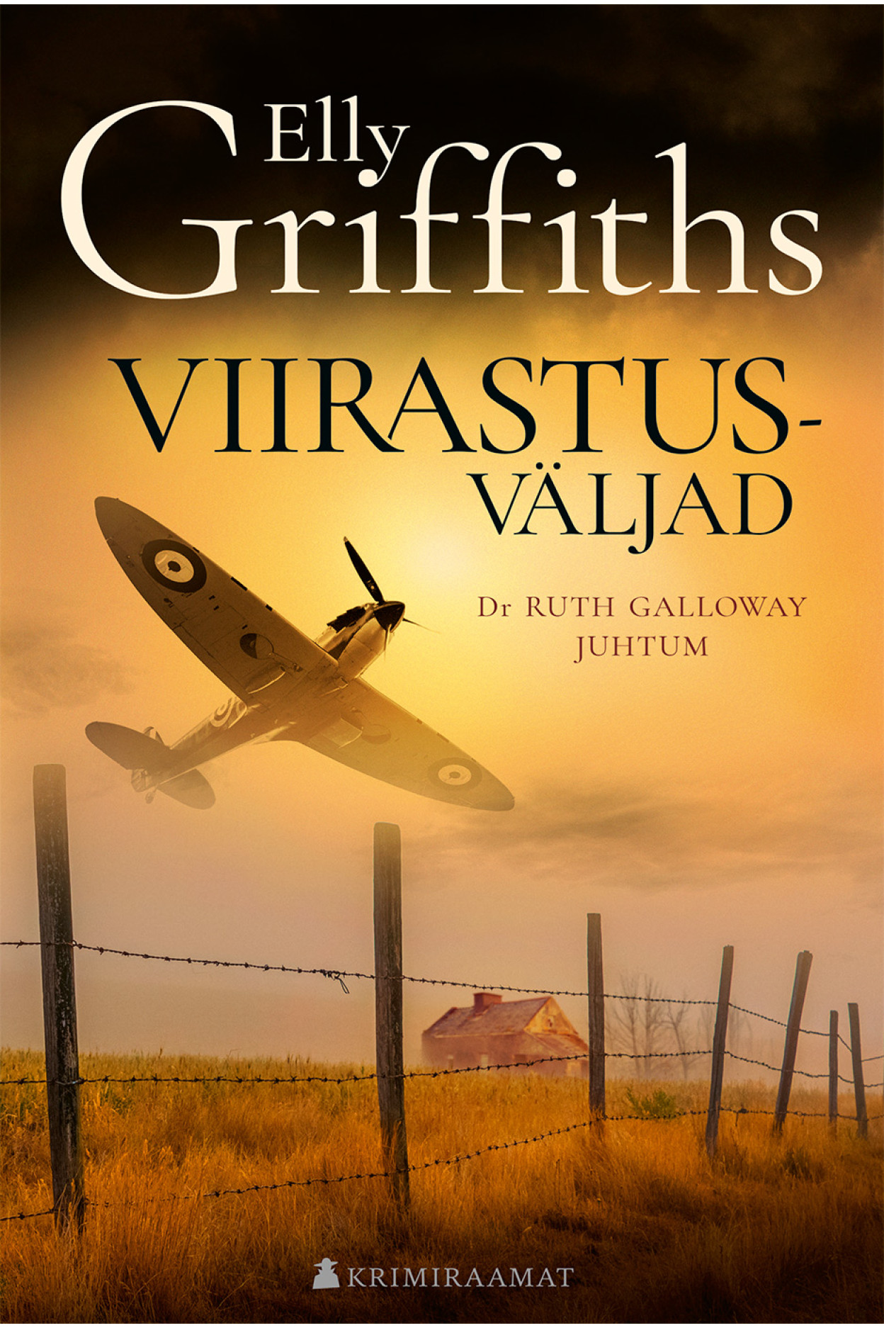E-raamat: Viirastusväljad