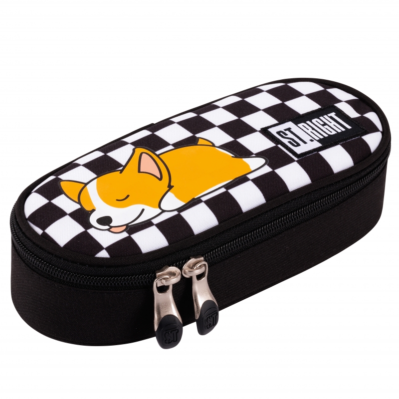 Pinal Sleepy Corgi