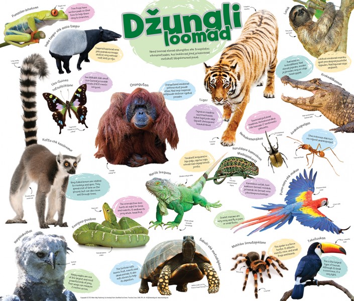Džungliloomad. Poster
