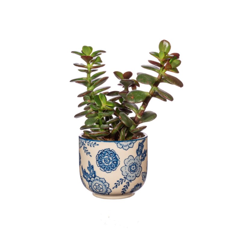 BLUE WILLOW LILLEPOTT, MINI