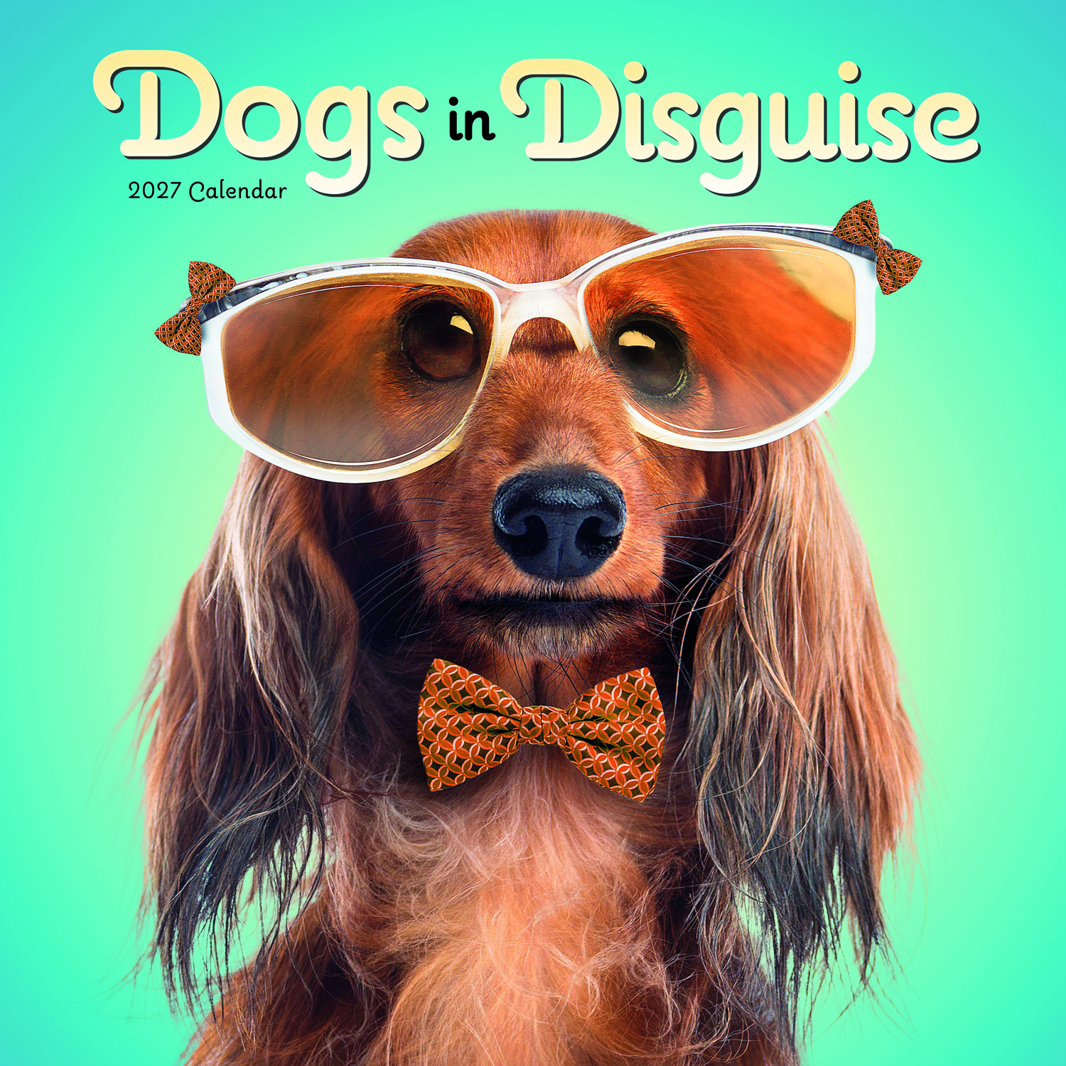 2027 seinakalender Dogs in Disguise Wall