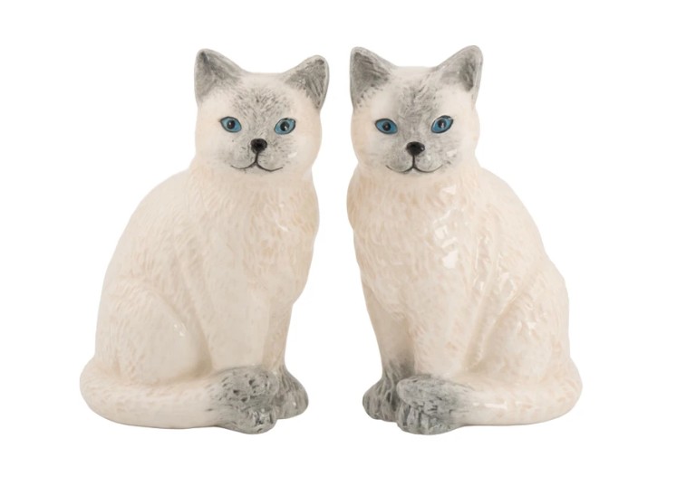 Pipra- ja soolatoos Ragdoll Cat
