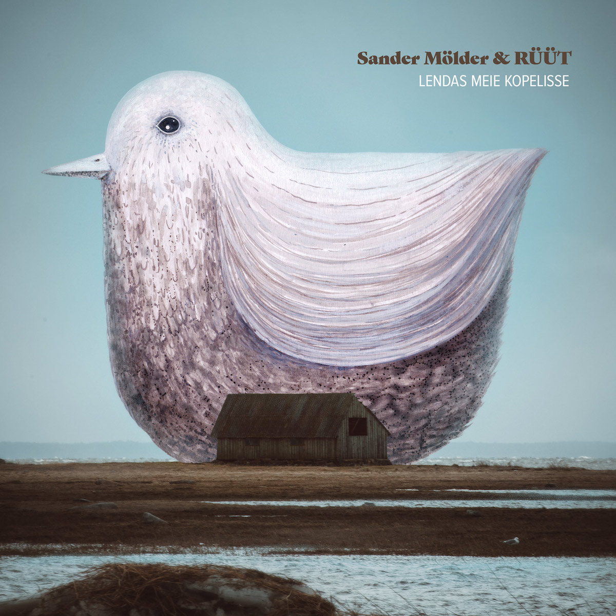 Sander Mölder & RÜÜT - Lendas meie kopelisse (2023) LP