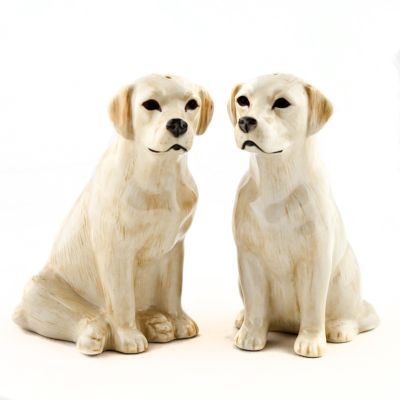QUAIL PIPRA- JA SOOLATOOS GOLDEN LABRADOR