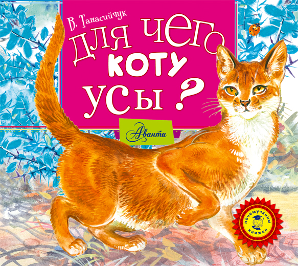 ДЛЯ ЧЕГО КОТУ УСЫ?