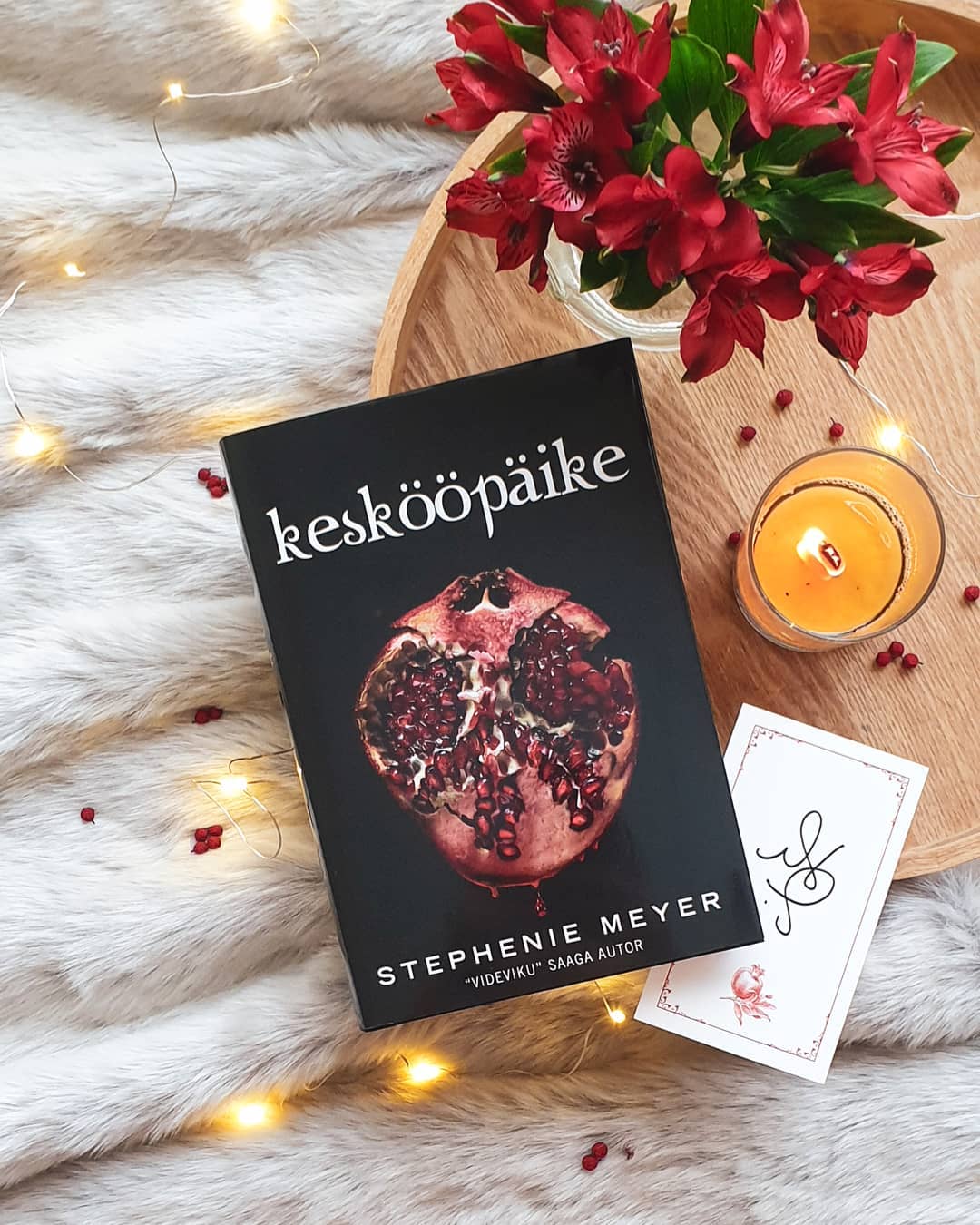 KESKÖÖPÄIKE. VIDEVIKU SAAGA V RAAMAT