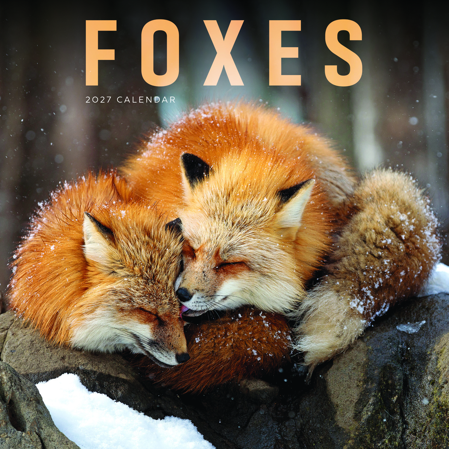 2027 seinakalender Foxes