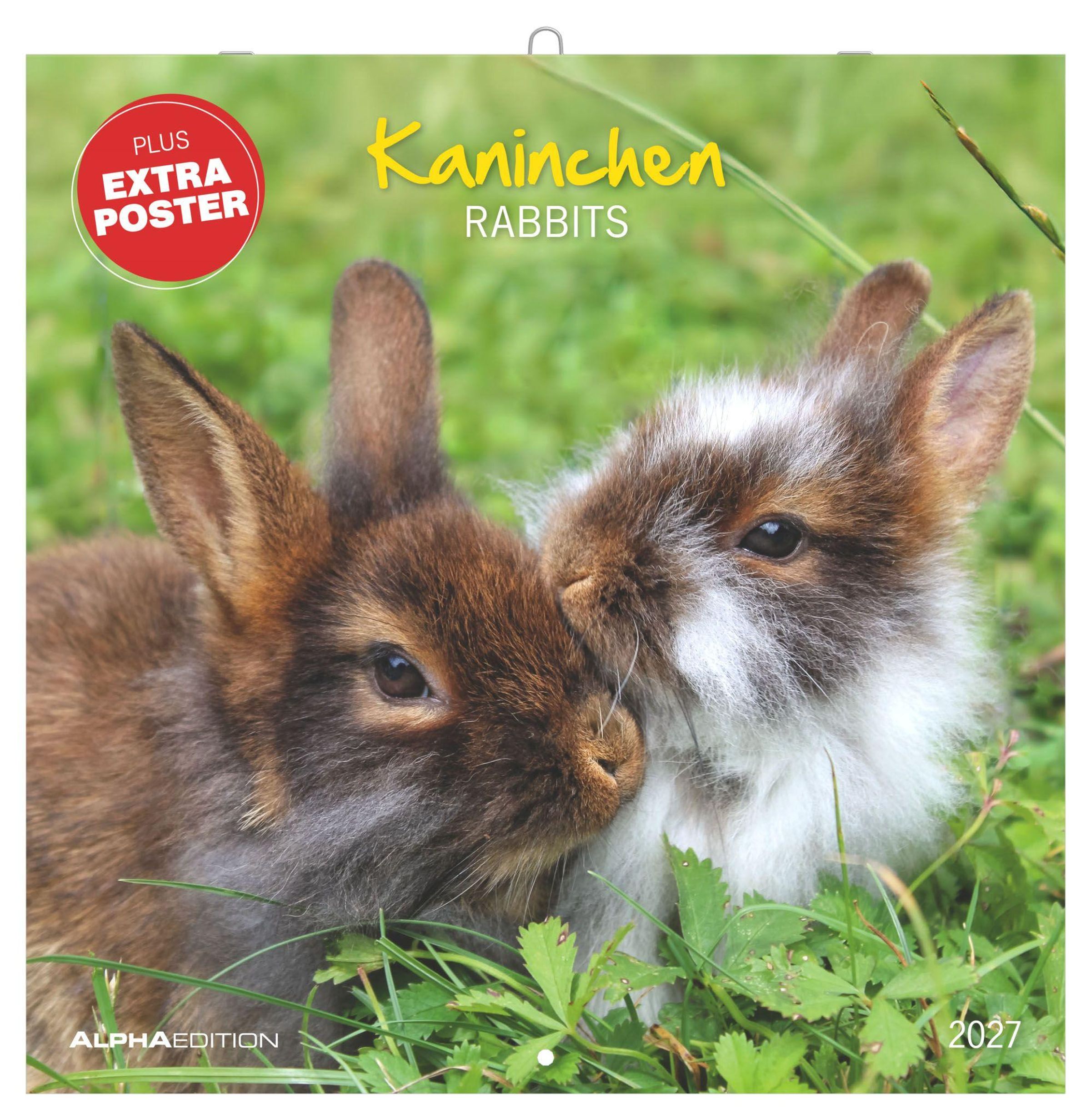 2027 seinakalender Kaninchen, 30x30cm