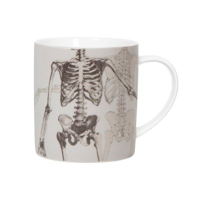 KRUUS BIOLOGICA - SKELETONS
