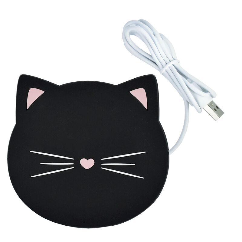 TASSISOOJENDAJA USB-LIIDESEGA CAT