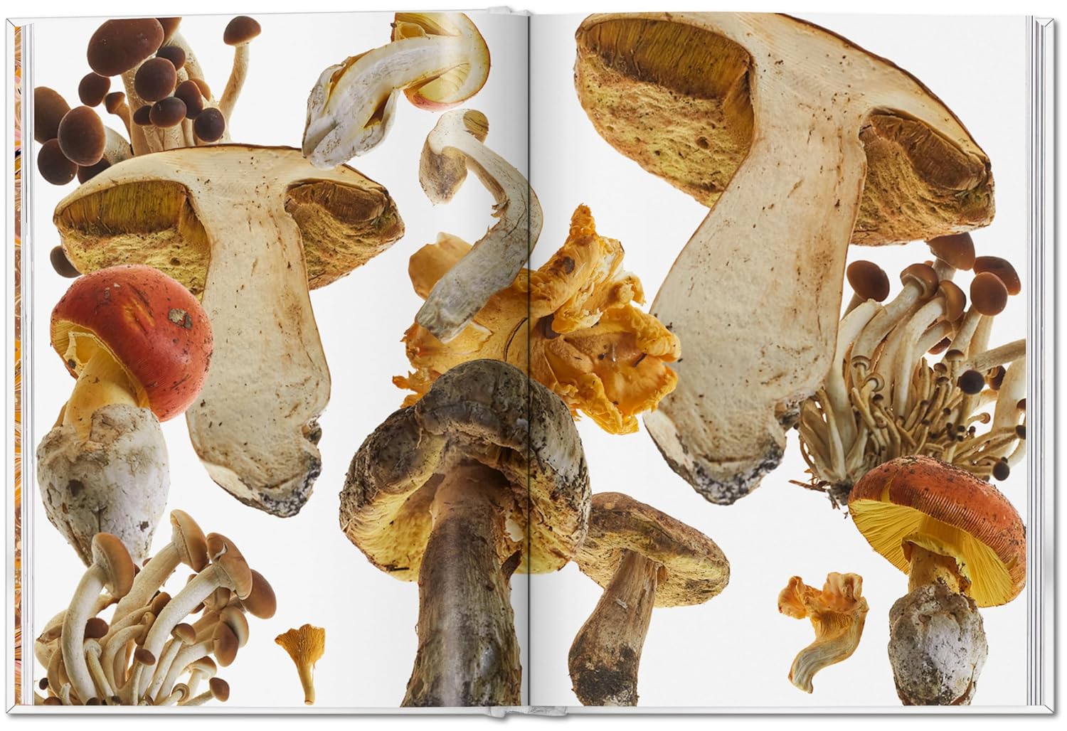 Gourmand's Mushroom. A Collection of Stories & Recipes