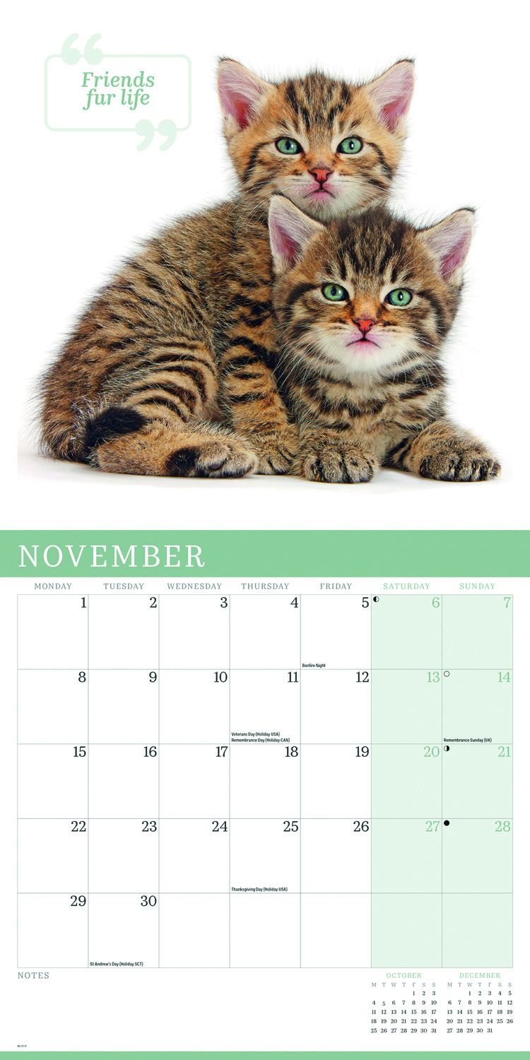 2027 seinakalender Cute Cats