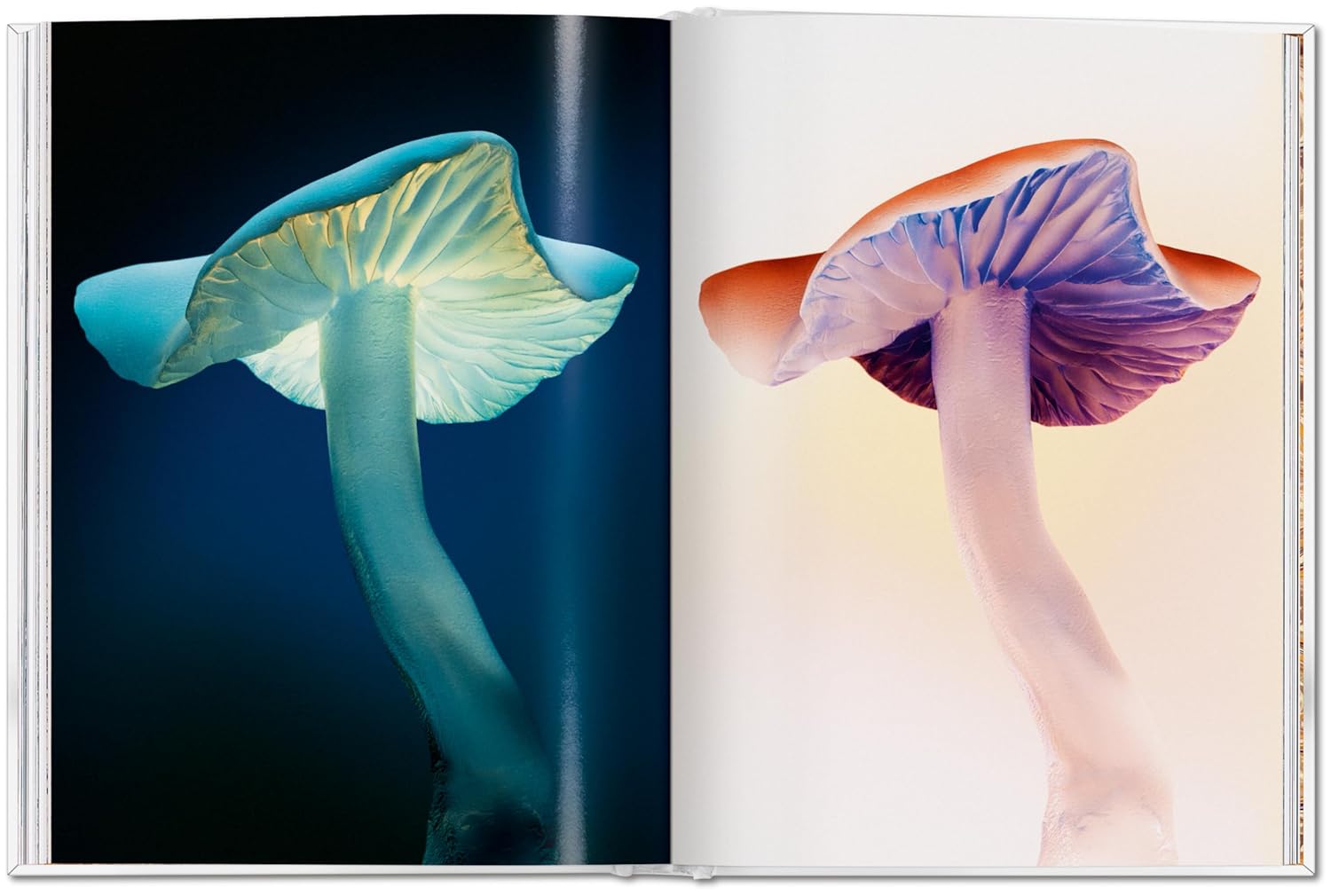 Gourmand's Mushroom. A Collection of Stories & Recipes
