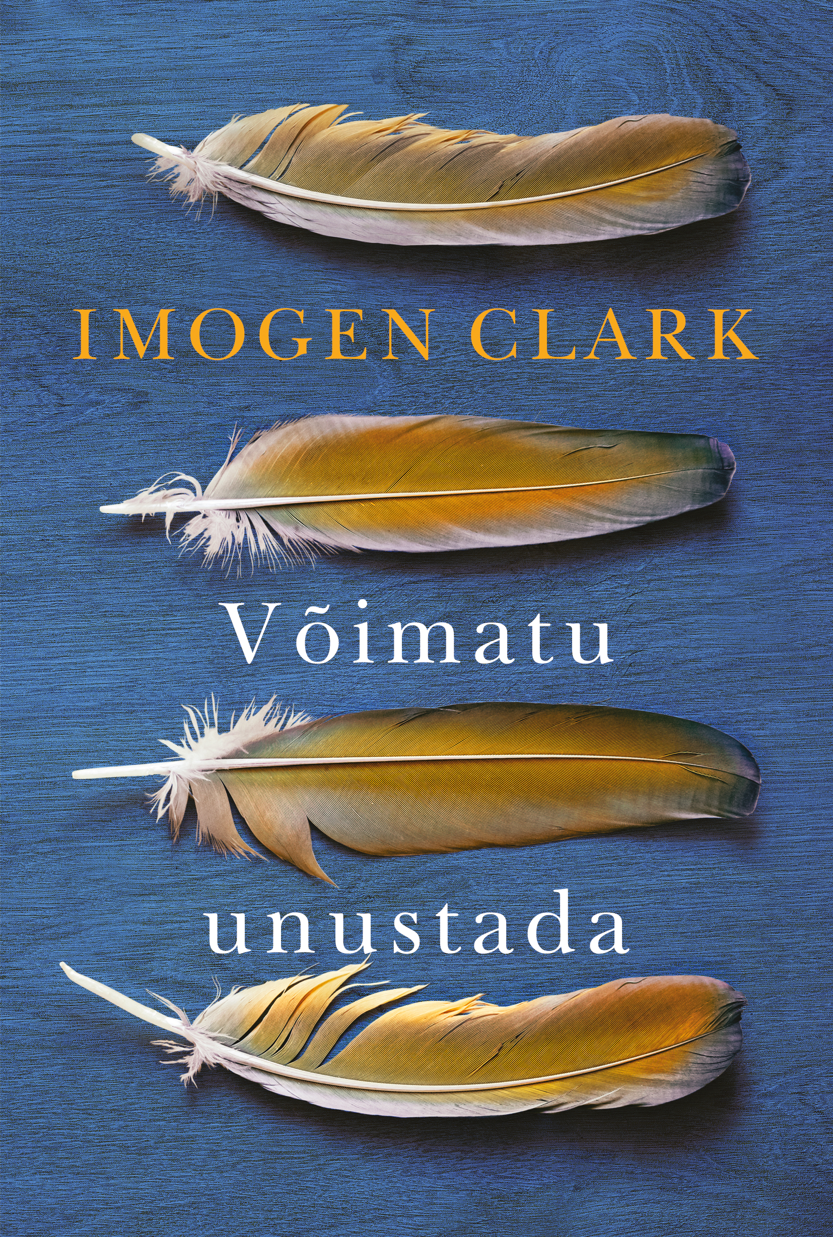 Võimatu unustada - Imogen Clark