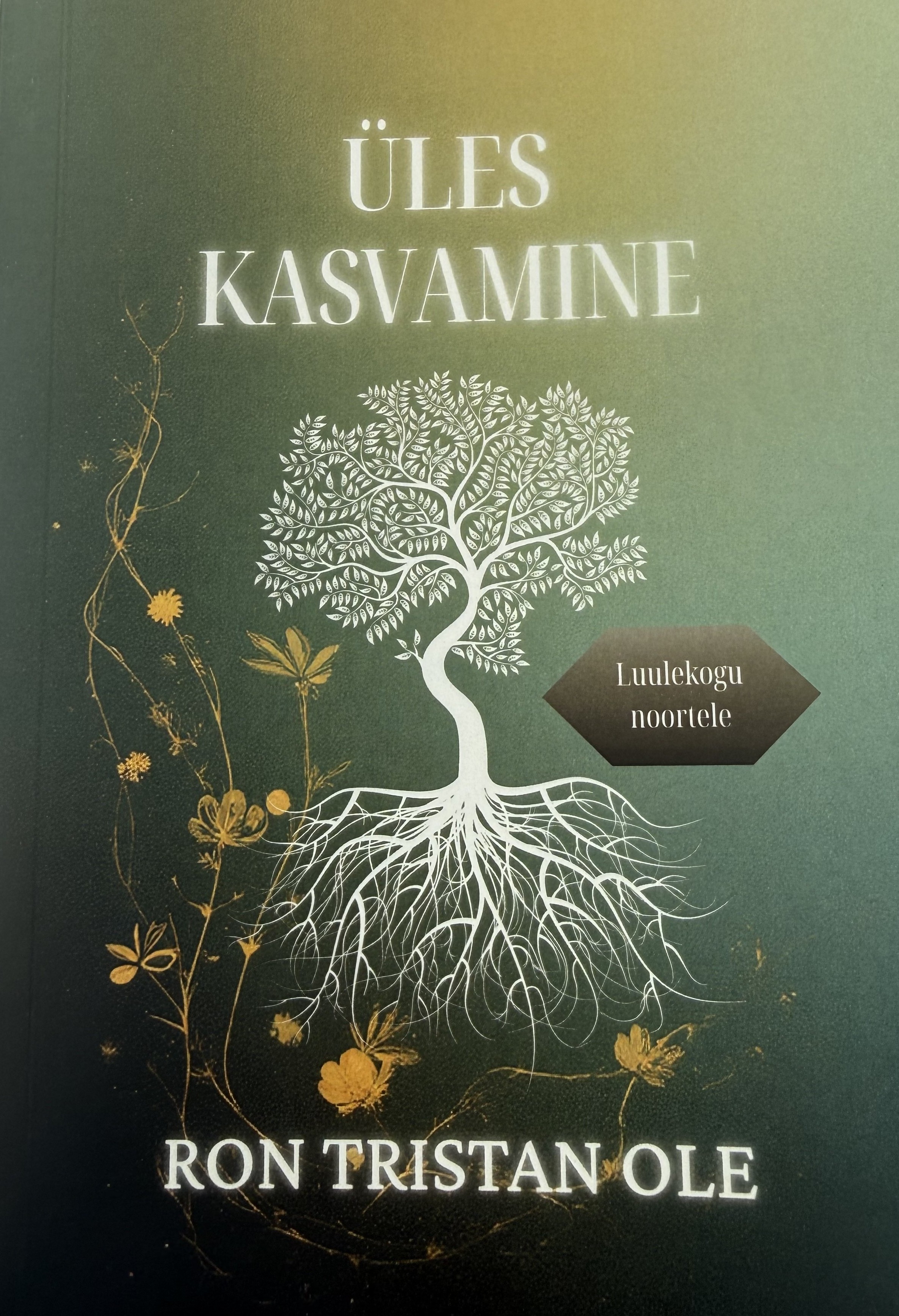 Üles kasvamine