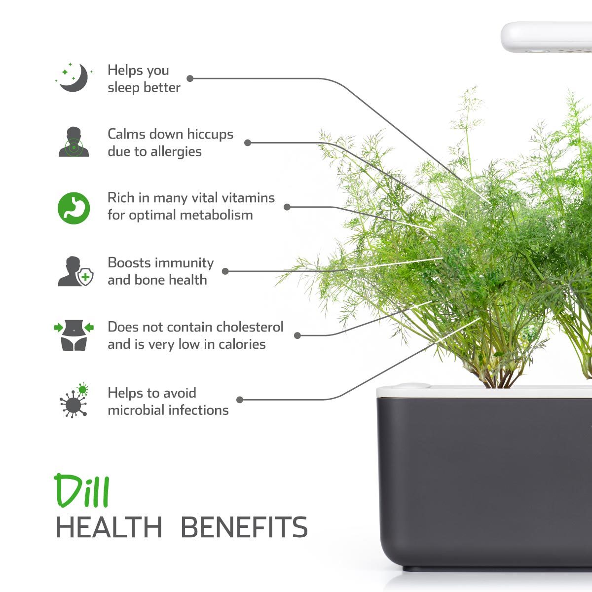 CLICK & GROW: 3 TAIMEKASSETTI, TILL