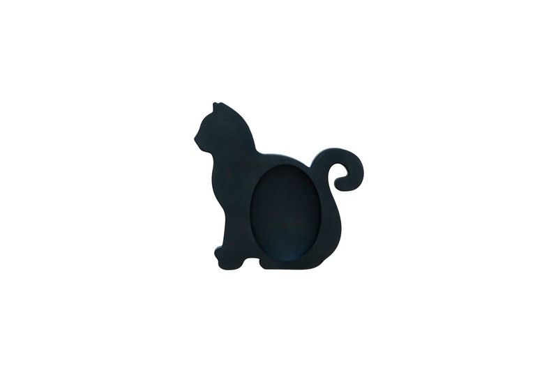 Lusikaalus Cat