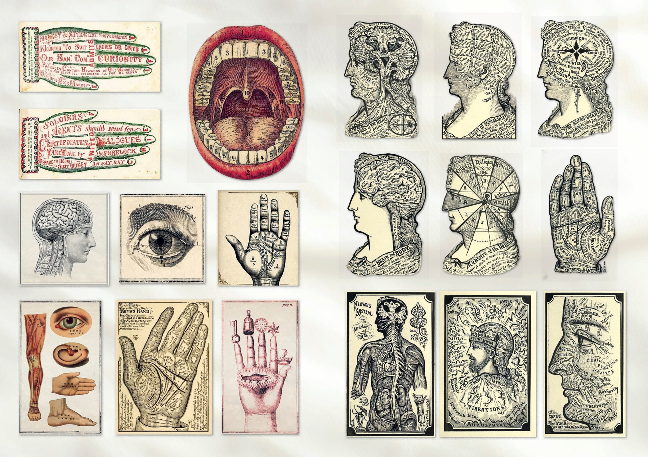 Curious Collections Sticker Book
