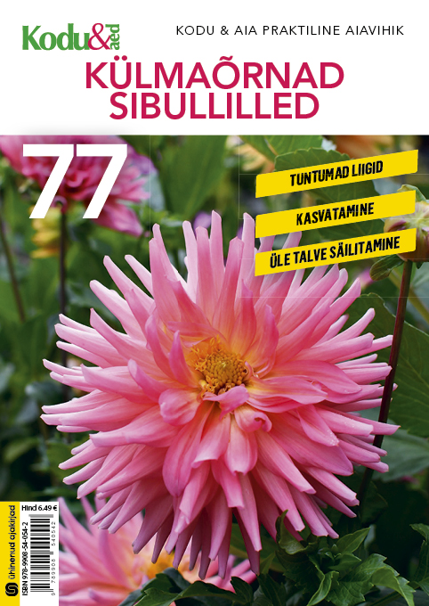Külmaõrnad sibullilled. Kodu & Aia praktiline aiavihik 77