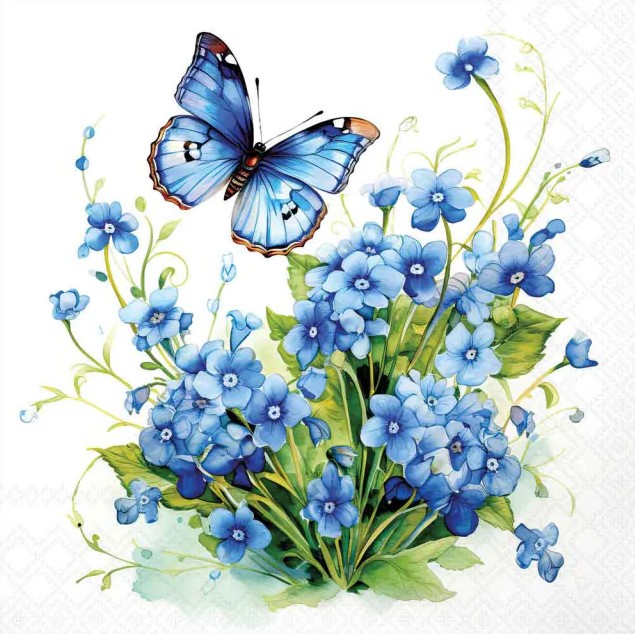 Lauasalvrätikud Forget Me Not, 20tk