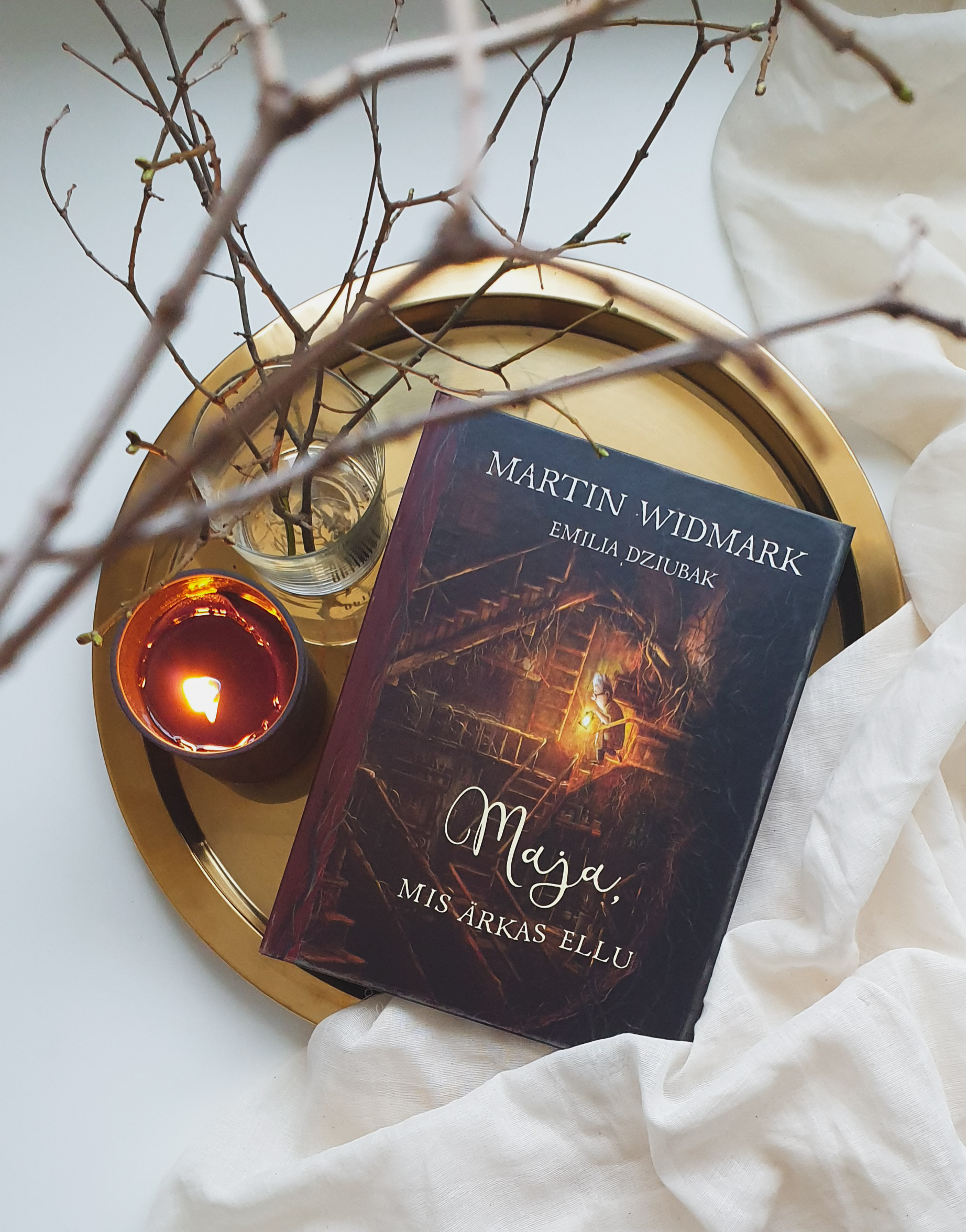 Maja, mis ärkas ellu - Martin Widmark