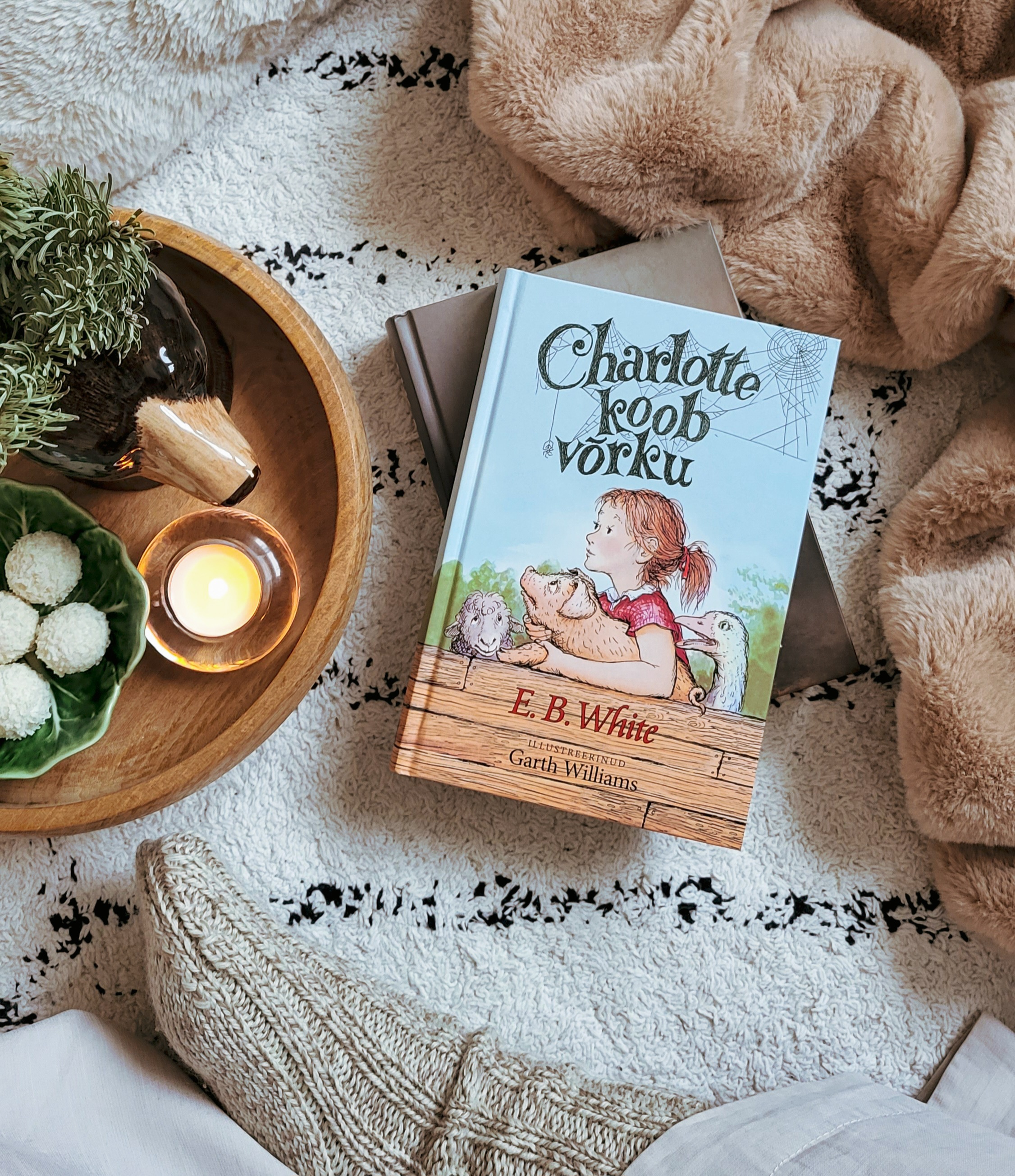 Charlotte koob võrku