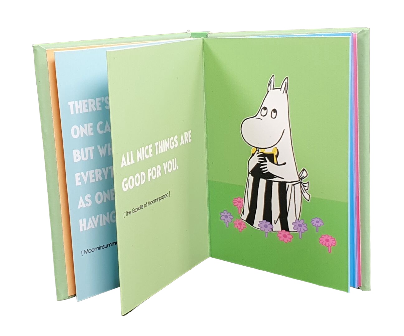 Moomin magnetraamat Muumimamma