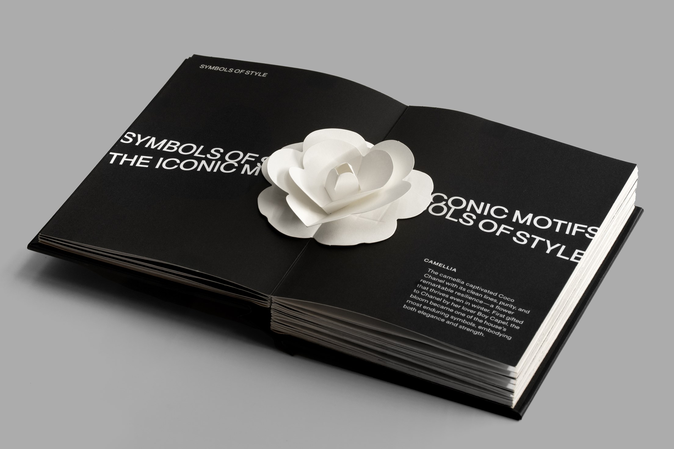 Fashion Unfolded: Pop-Up Chanel