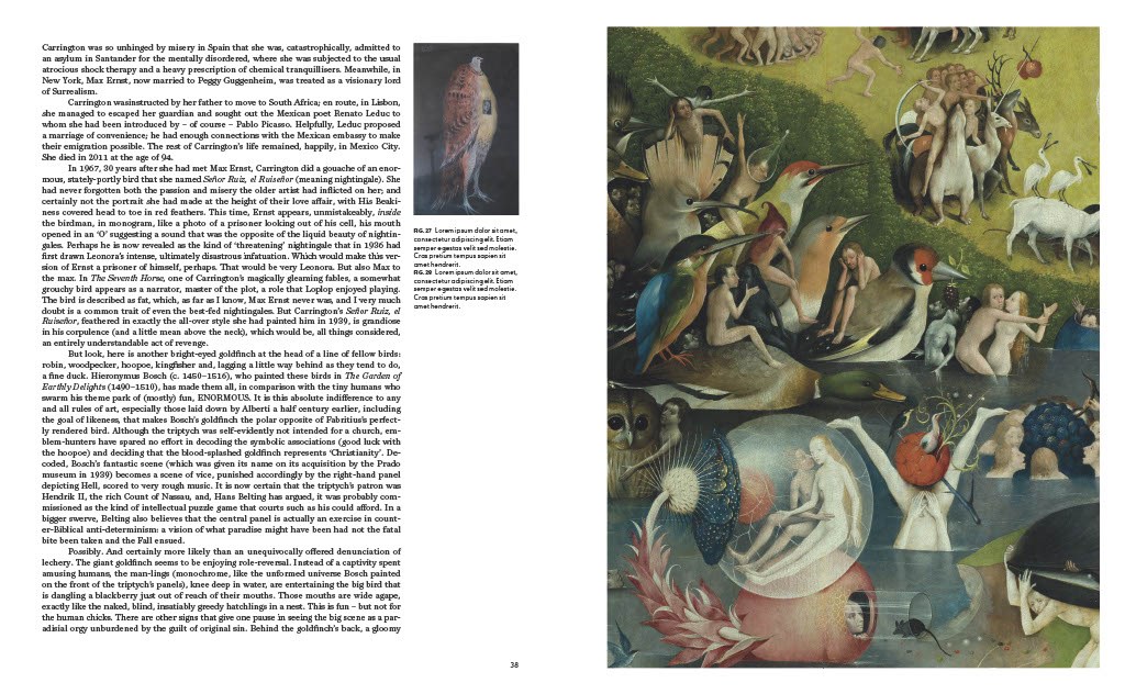 Birds: The Goldfinch, Birds, Art, and Us
