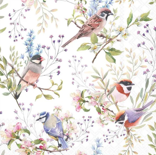 Lauasalvrätikud Busy Birds, 20tk