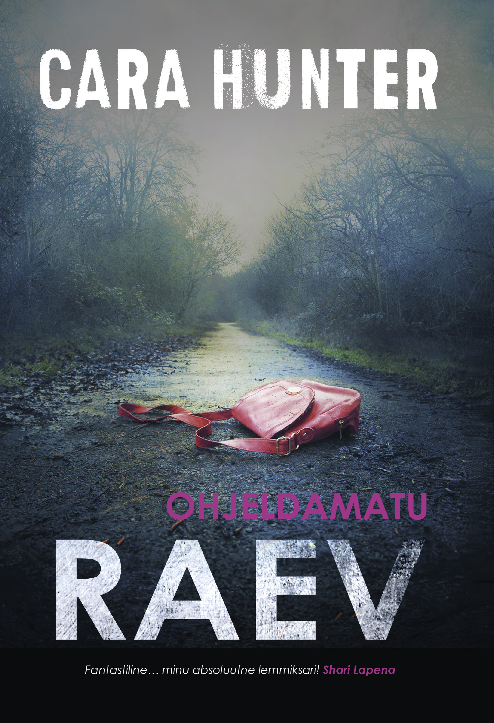 E-raamat: Ohjeldamatu raev