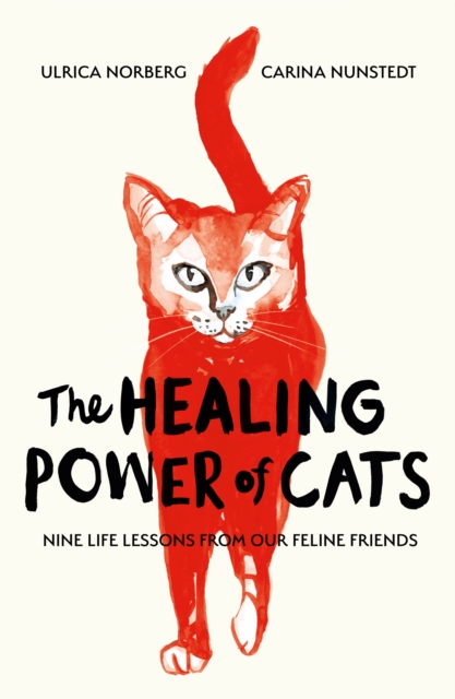 Healing Power of Cats