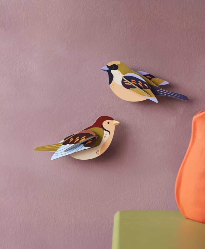Seinakaunistused Garden Bird, Sparrows