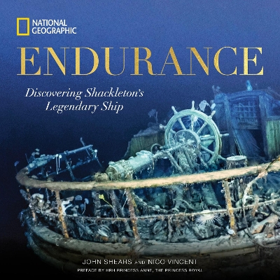 Endurance - John Shears, Nico Vincent